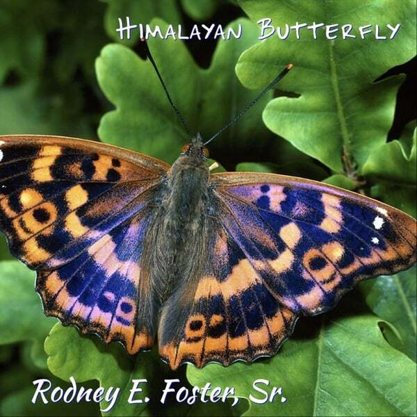 Cover art for Himalayan Butterfly